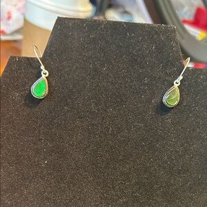 Ammolite Teardrop Earrings